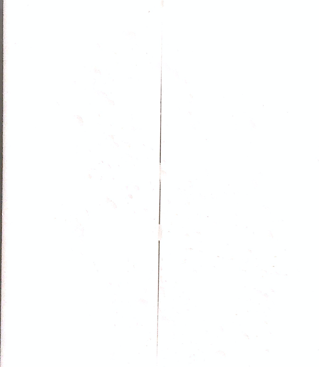 Artboard-Copy-31-1