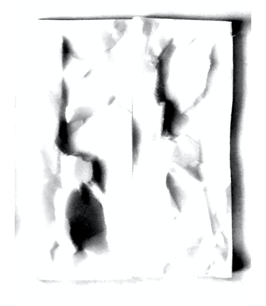 Artboard-Copy-32-1